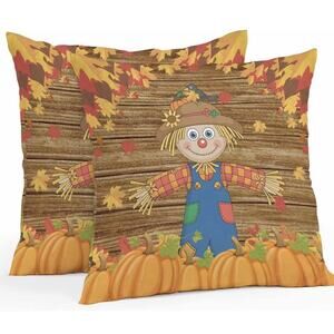 Thanksgiving Scare Crow Outdoor Waterproof Pillow Covers 16x16 Pack of 2